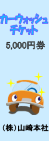 �J�[�E�H�b�V���`�P�b�g